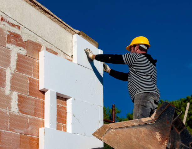 Best Eco-Friendly Insulation in Santa Clarita, CA