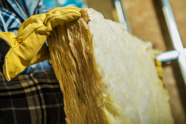Best Geographic-Specific Insulation Services in Santa Clarita, CA