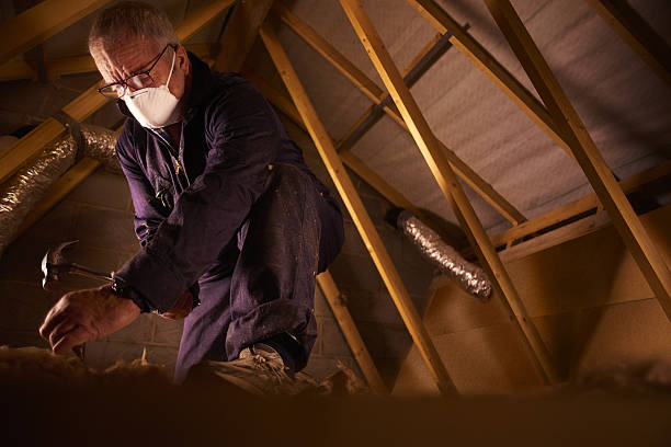 Best Commercial Insulation in Santa Clarita, CA
